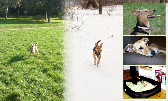 Phoebee: 1 Jahr